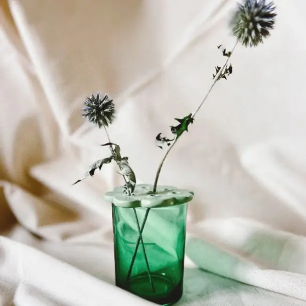 Created with RNI Films app. Profile 'Agfa RSX II v.3'